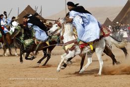 Image du Maroc Professionnelle de  Course typiquement marocaine dite ''la Fantasia'' organisé dans un site désertique sur lequel la ville de Tan Tan a toujours accueilli la majorité des tribus et des grandes familles nomades du désert lors d'un grand moussem, Samedi 24 Mars 2012. (Photo / Abdeljalil Bounhar)

 